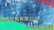 【拍卖公告】12月3日穗甬控股有限公司 30%的股权拍卖公告
